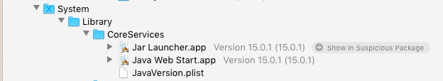 show a specific file in the app